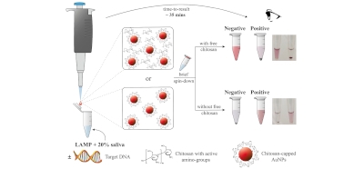 Detection_of_isothermally-amplified_DNA_by_naked-e