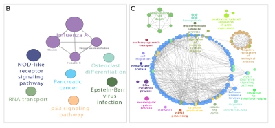 Combined_genetic_and_transcriptome_analysis_of_pat