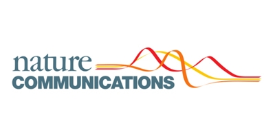 Hotspots_of_dendritic_spine_turnover_facilitate_cl