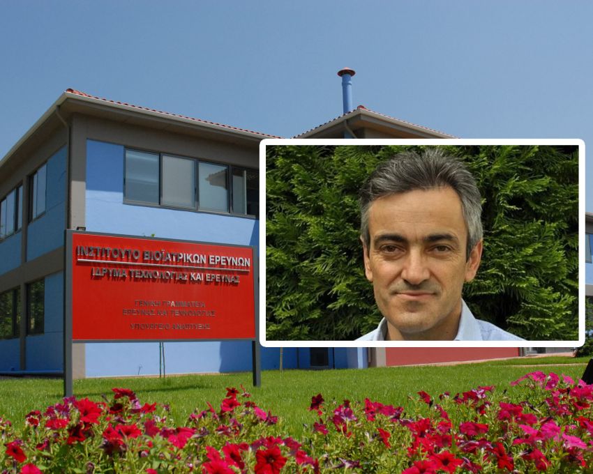 Prof._Savvas_Christoforidis_elected_new_Director_o