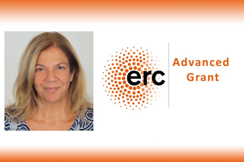 Research Highlights Image