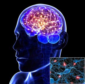 FORTH coordinates the National Precision Medicine Network for Neurodegenerative Diseases