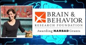 Dr. Papoutsi Postdoctoral researcher at IMBB/ FORTH awarded with the prestigious NARSAD 2018 Young Investigator Grant