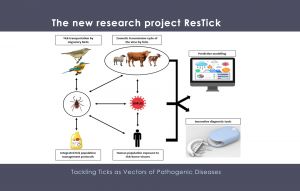 Development_of_innovative_tools_for_tackling_ticks