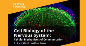 Crete_hosts_a_prestigious_International_Neuroscien