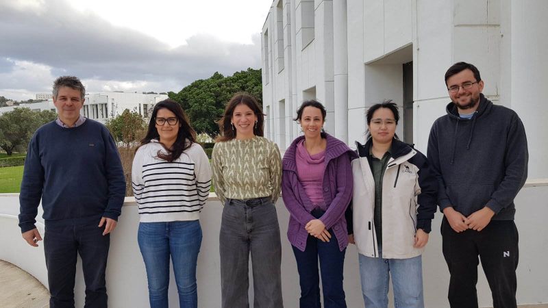 Research Highlights Image