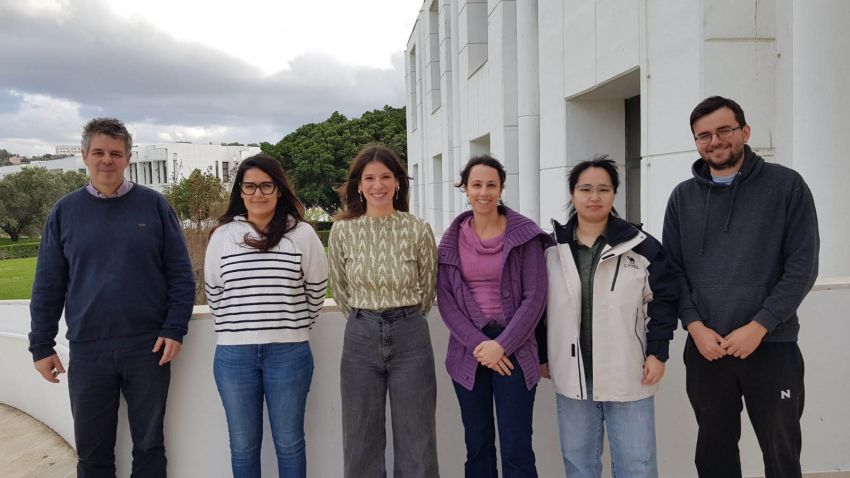 Μosquito_vectors_of_malaria_rapidly_develop_resist