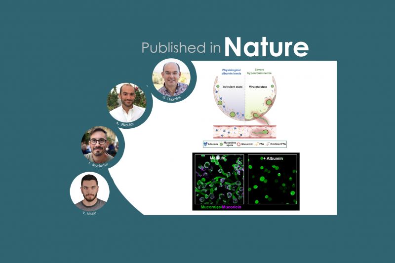 Research Highlights Image