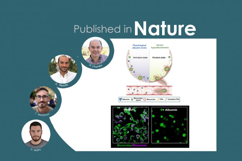 Research Highlights Image