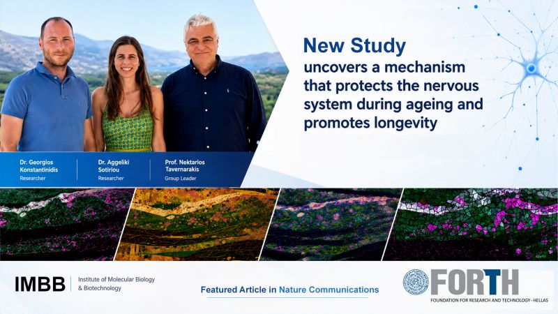 Research Highlights Image