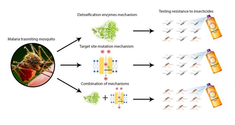 Research Highlights Image