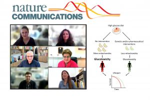 FORTH_researchers_reveal_how_metabolic_reprogrammi