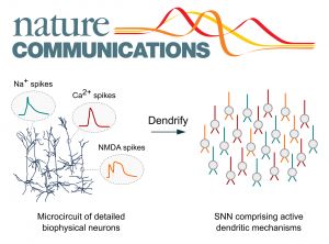 FORTH’s_Researchers_a_step_closer_to_unraveling_